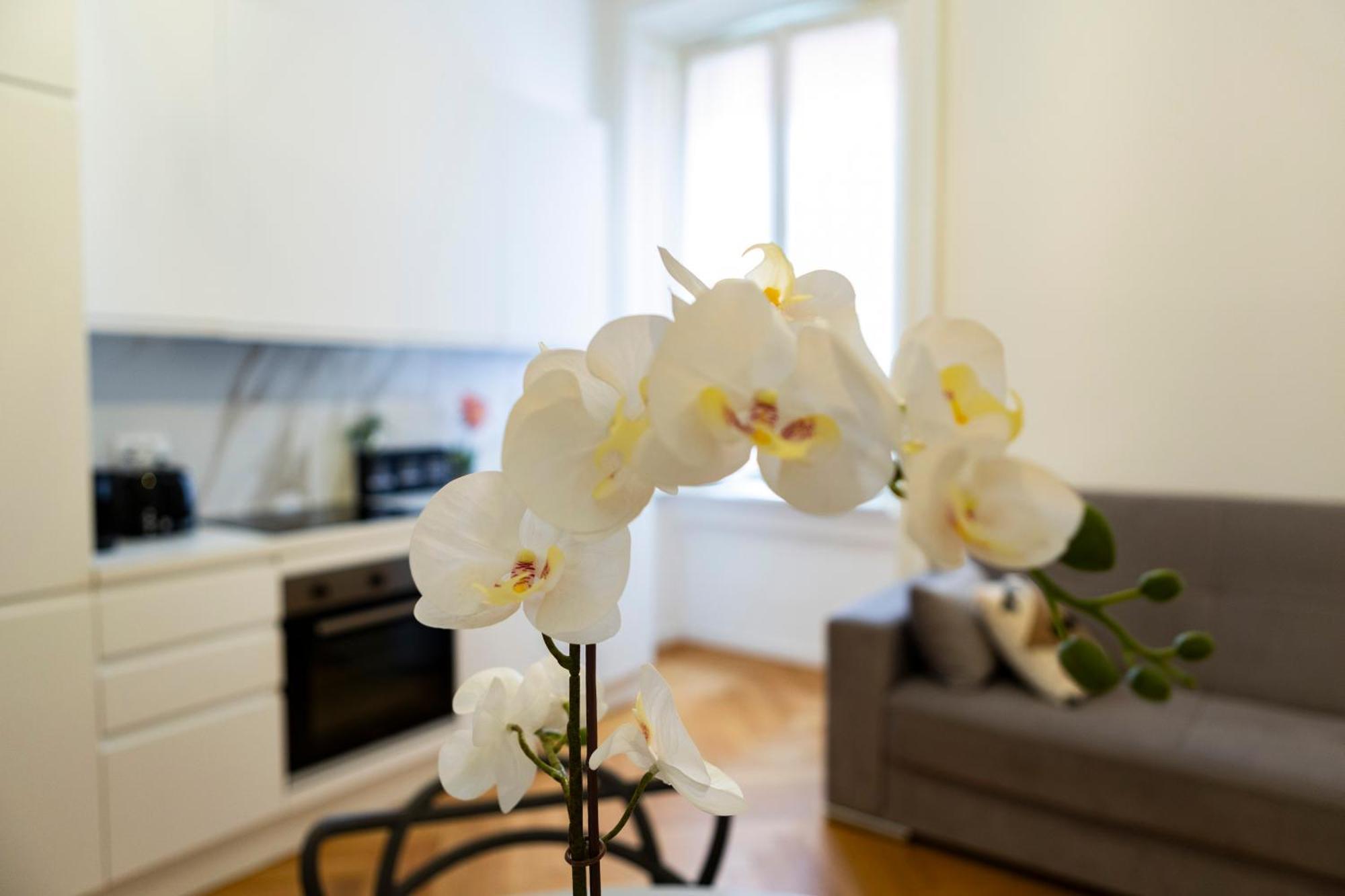 Macchi Delicious Apartment By 101Flats Μιλάνο Εξωτερικό φωτογραφία